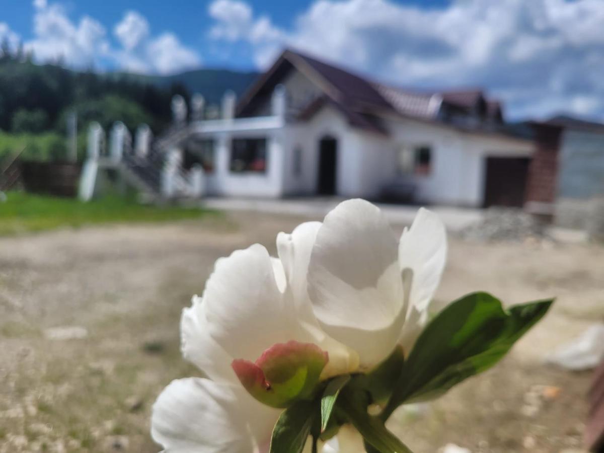Poarta Zaganului Cheia Cheia (Prahova) Exterior foto