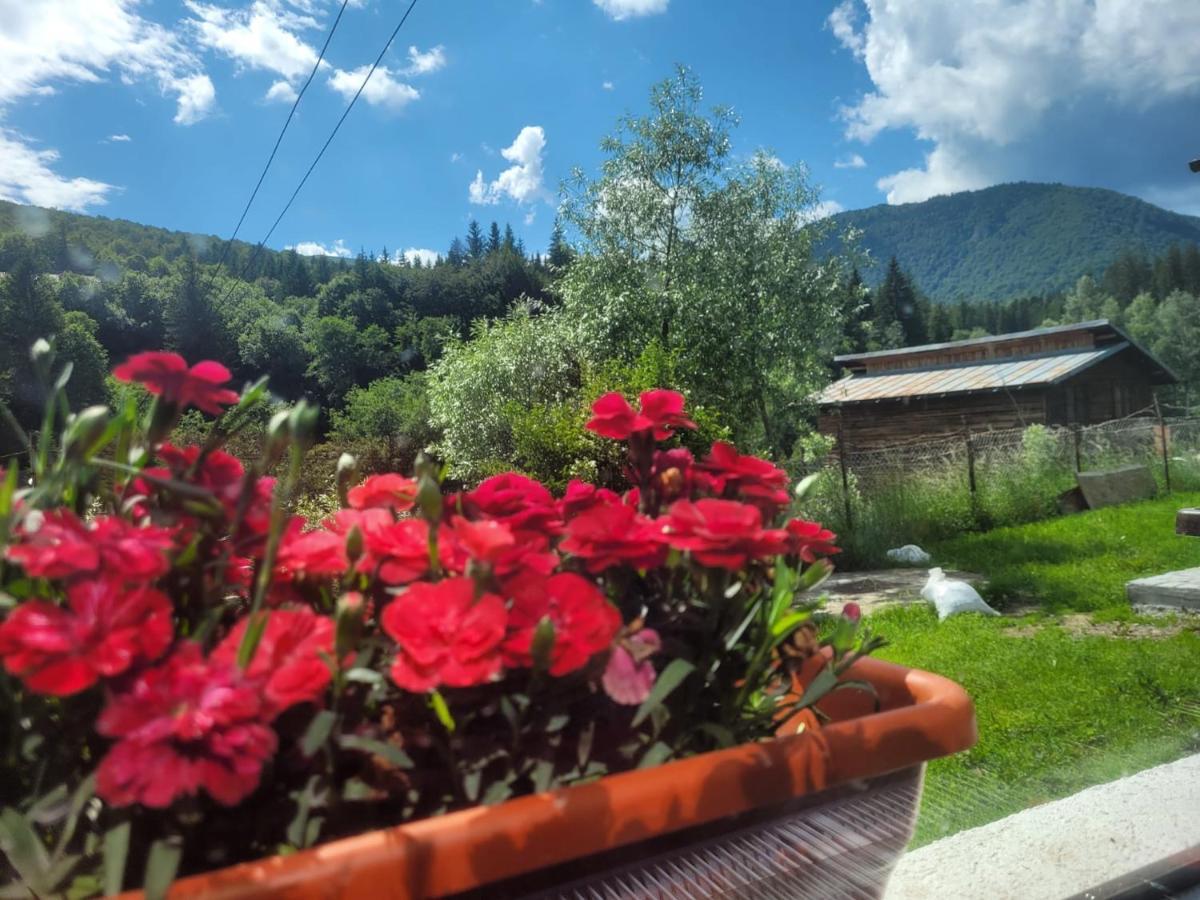 Poarta Zaganului Cheia Cheia (Prahova) Exterior foto
