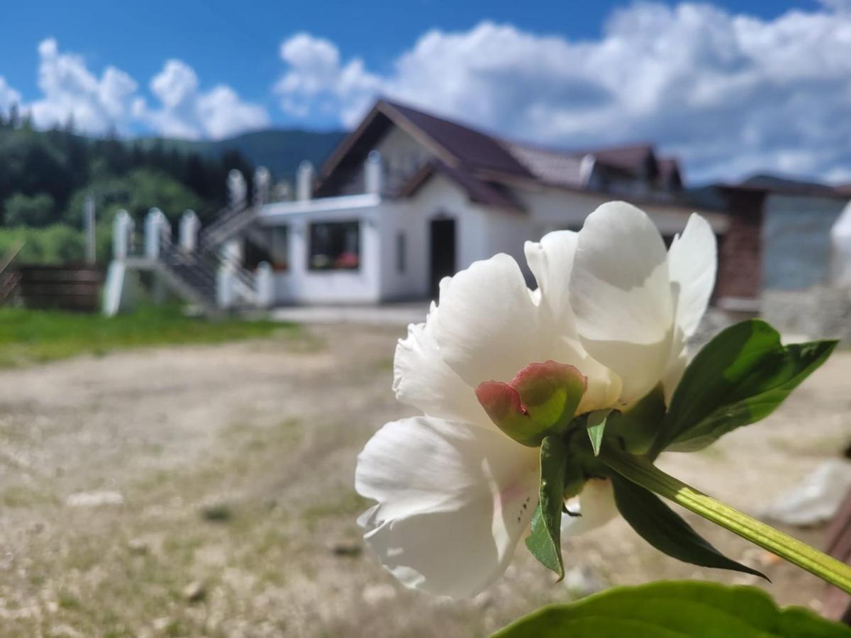 Poarta Zaganului Cheia Cheia (Prahova) Exterior foto