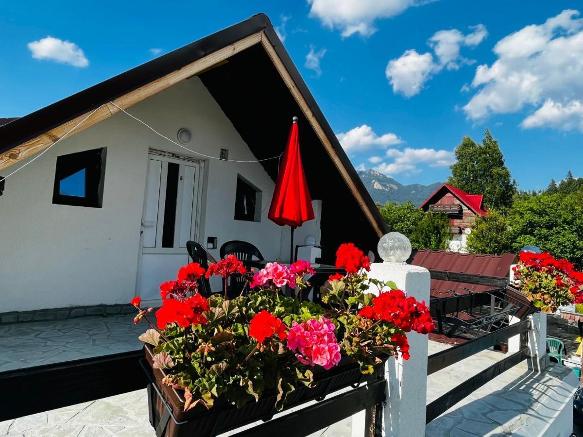 Poarta Zaganului Cheia Cheia (Prahova) Exterior foto